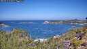 ./images/calvert/foggy-cove/20260819/foggy-cove20260819_113001M.jpg