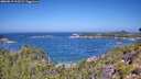 ./images/calvert/foggy-cove/20260819/foggy-cove20260819_113501M.jpg