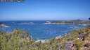./images/calvert/foggy-cove/20260819/foggy-cove20260819_114001M.jpg