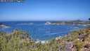 ./images/calvert/foggy-cove/20260819/foggy-cove20260819_114501M.jpg