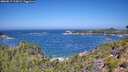 ./images/calvert/foggy-cove/20260819/foggy-cove20260819_115001M.jpg