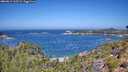 ./images/calvert/foggy-cove/20260819/foggy-cove20260819_115501M.jpg