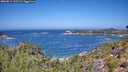 ./images/calvert/foggy-cove/20260819/foggy-cove20260819_120501M.jpg