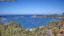 ./images/calvert/foggy-cove/20260819/foggy-cove20260819_121001M.jpg