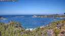 ./images/calvert/foggy-cove/20260819/foggy-cove20260819_121501M.jpg