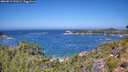 ./images/calvert/foggy-cove/20260819/foggy-cove20260819_122002M.jpg