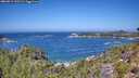./images/calvert/foggy-cove/20260819/foggy-cove20260819_122501M.jpg