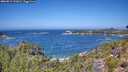 ./images/calvert/foggy-cove/20260819/foggy-cove20260819_123001M.jpg
