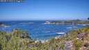./images/calvert/foggy-cove/20260819/foggy-cove20260819_123501M.jpg
