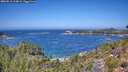 ./images/calvert/foggy-cove/20260819/foggy-cove20260819_124001M.jpg
