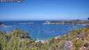 ./images/calvert/foggy-cove/20260819/foggy-cove20260819_124501M.jpg