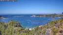 ./images/calvert/foggy-cove/20260819/foggy-cove20260819_125001M.jpg