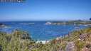 ./images/calvert/foggy-cove/20260819/foggy-cove20260819_125501M.jpg