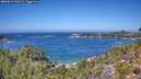 ./images/calvert/foggy-cove/20260819/foggy-cove20260819_130502M.jpg