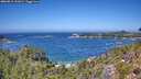 ./images/calvert/foggy-cove/20260819/foggy-cove20260819_131002M.jpg
