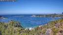 ./images/calvert/foggy-cove/20260819/foggy-cove20260819_131501M.jpg
