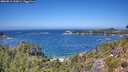./images/calvert/foggy-cove/20260819/foggy-cove20260819_132001M.jpg