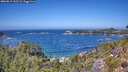 ./images/calvert/foggy-cove/20260819/foggy-cove20260819_132501M.jpg