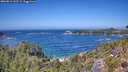 ./images/calvert/foggy-cove/20260819/foggy-cove20260819_133501M.jpg