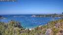 ./images/calvert/foggy-cove/20260819/foggy-cove20260819_134501M.jpg