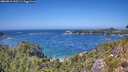 ./images/calvert/foggy-cove/20260819/foggy-cove20260819_135501M.jpg
