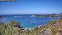 ./images/calvert/foggy-cove/20260819/foggy-cove20260819_140001M.jpg