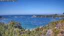 ./images/calvert/foggy-cove/20260819/foggy-cove20260819_140501M.jpg
