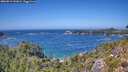 ./images/calvert/foggy-cove/20260819/foggy-cove20260819_141001M.jpg