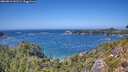 ./images/calvert/foggy-cove/20260819/foggy-cove20260819_141501M.jpg