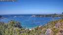 ./images/calvert/foggy-cove/20260819/foggy-cove20260819_142501M.jpg