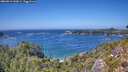 ./images/calvert/foggy-cove/20260819/foggy-cove20260819_143001M.jpg
