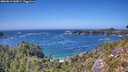 ./images/calvert/foggy-cove/20260819/foggy-cove20260819_145001M.jpg