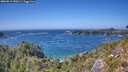 ./images/calvert/foggy-cove/20260819/foggy-cove20260819_150501M.jpg