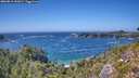 ./images/calvert/foggy-cove/20260819/foggy-cove20260819_151002M.jpg
