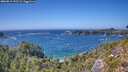 ./images/calvert/foggy-cove/20260819/foggy-cove20260819_151501M.jpg