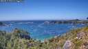 ./images/calvert/foggy-cove/20260819/foggy-cove20260819_152501M.jpg
