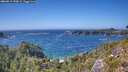./images/calvert/foggy-cove/20260819/foggy-cove20260819_153002M.jpg