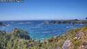 ./images/calvert/foggy-cove/20260819/foggy-cove20260819_153501M.jpg