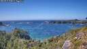 ./images/calvert/foggy-cove/20260819/foggy-cove20260819_154002M.jpg