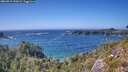 ./images/calvert/foggy-cove/20260819/foggy-cove20260819_154501M.jpg