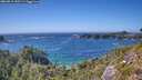 ./images/calvert/foggy-cove/20260819/foggy-cove20260819_155501M.jpg