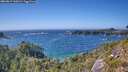 ./images/calvert/foggy-cove/20260819/foggy-cove20260819_160501M.jpg