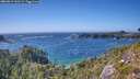 ./images/calvert/foggy-cove/20260819/foggy-cove20260819_161502M.jpg