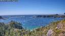 ./images/calvert/foggy-cove/20260819/foggy-cove20260819_162001M.jpg