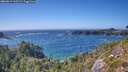 ./images/calvert/foggy-cove/20260819/foggy-cove20260819_162502M.jpg