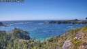 ./images/calvert/foggy-cove/20260819/foggy-cove20260819_163001M.jpg
