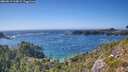./images/calvert/foggy-cove/20260819/foggy-cove20260819_164001M.jpg