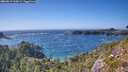 ./images/calvert/foggy-cove/20260819/foggy-cove20260819_164501M.jpg