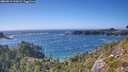 ./images/calvert/foggy-cove/20260819/foggy-cove20260819_165002M.jpg