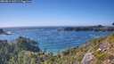 ./images/calvert/foggy-cove/20260819/foggy-cove20260819_165501M.jpg